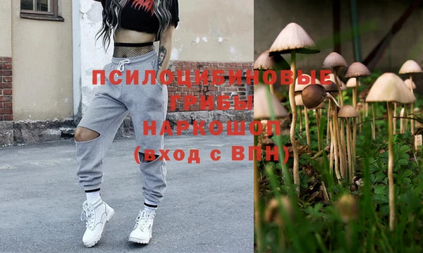 сатива Алзамай