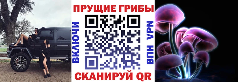 Галлюциногенные грибы Magic Shrooms Цивильск